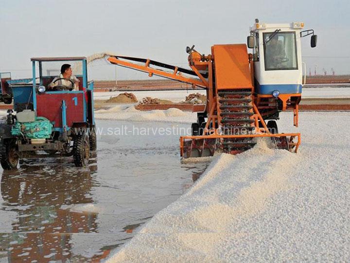 Salt collector harvester machine sold to senegal